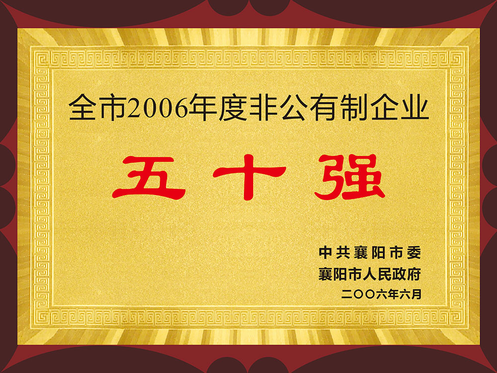 全市2006年度非公有制企业五十强